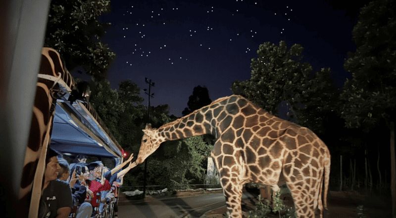 Billet Safari de nuit à Chiang Mai : prise en charge flexible, billets et transferts