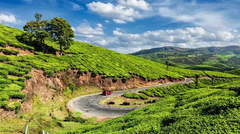 Billet Cochin : visite privative de 4 jours à Munnar et Alleppey avec une péniche