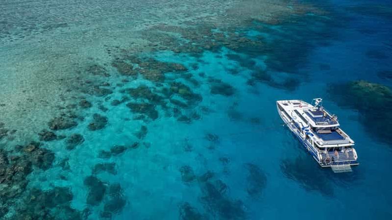 Billet Cairns : excursion premium d'une journée pour la plongée et le snorkeling sur le récif