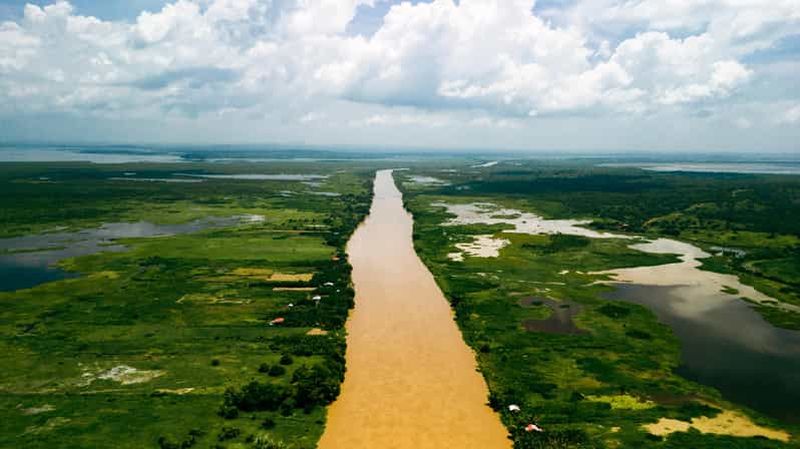 Billet Visite privée d'observation des oiseaux sur le Canal del Dique