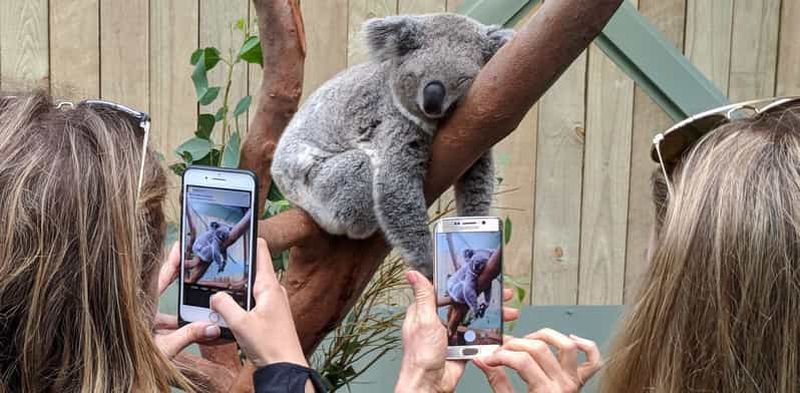 Billet Sydney : Visite en petit groupe de la faune, des chutes d'eau et du vin