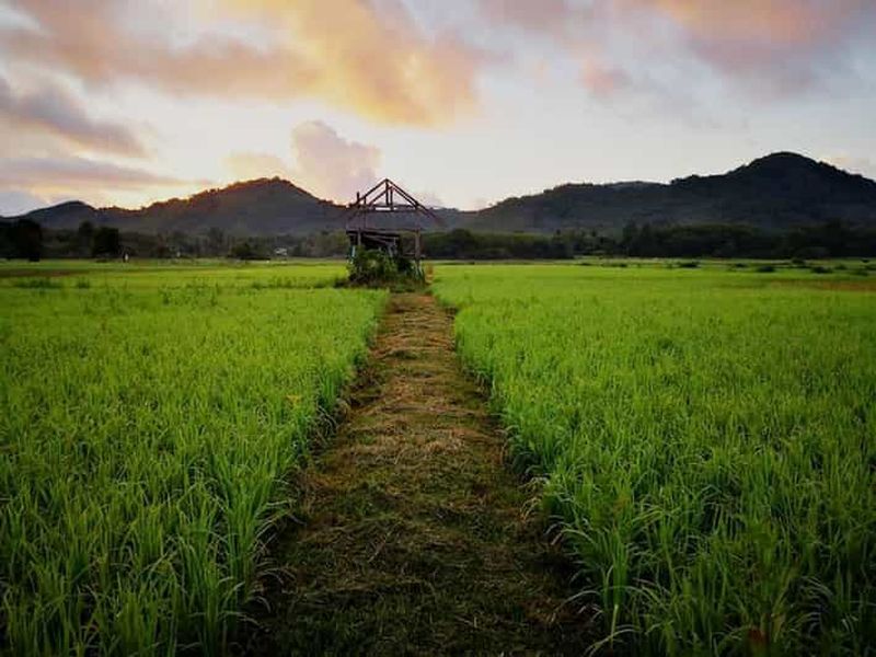 Billet Koh Yao Noi : visite d'une demi-journée à la découverte du mode de vie local