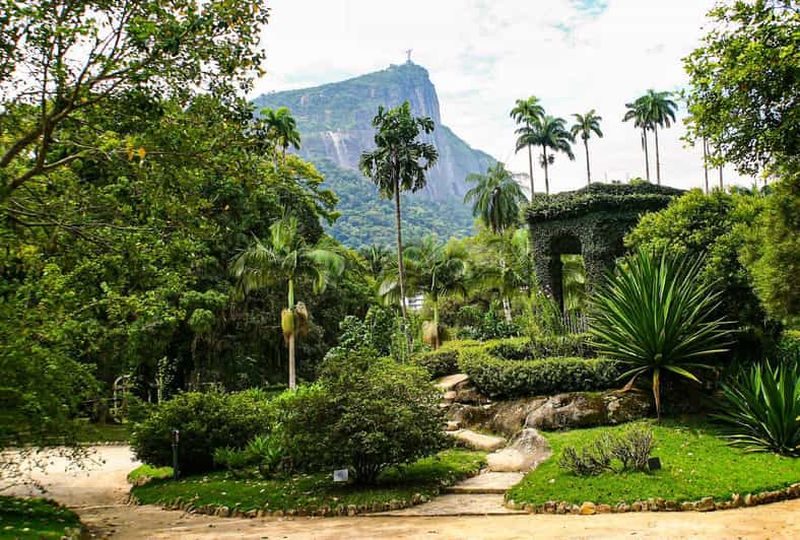 Billet Rio de Janeiro : Visite guidée du jardin botanique