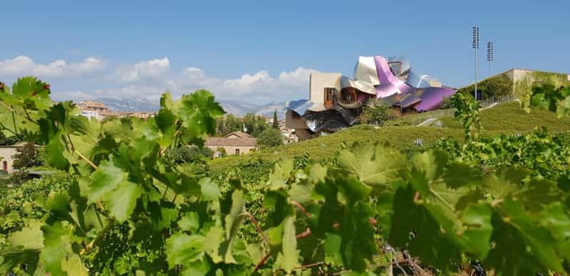Billet De Saint-Sébastien/Bilbao/Vitoria : visite des vignobles de La Rioja