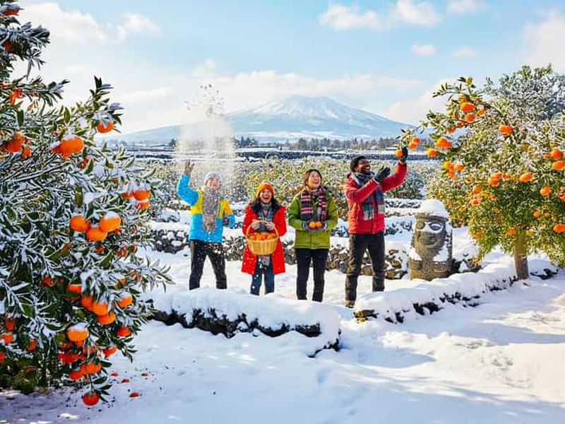 Billet Jeju : visite en bus des principaux sites UNESCO du sud