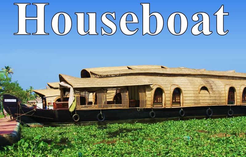 Billet Depuis le port de Cochin : Croisière sur les rives du lac et filets chinois