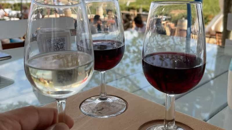 Billet Antalya : visite des vignobles et dégustation de vins de Likya