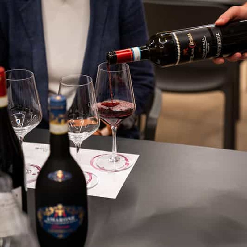 Billet Musée du vin de Valpolicella : Location de vélos électriques avec application et dégustation