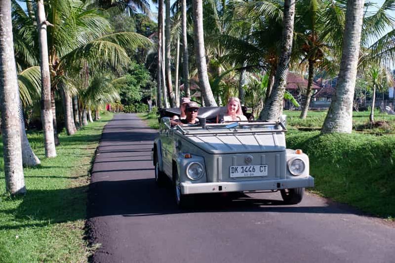 Billet Ubud : safari en VW classique vers cascade, balançoire et rizières