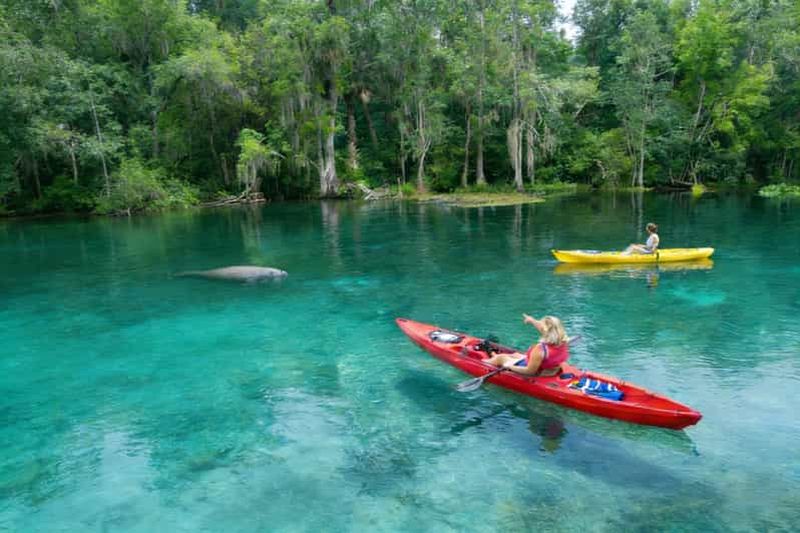 Billet Silver Springs, Orlando : excursion en petit groupe à la rencontre des lamantins