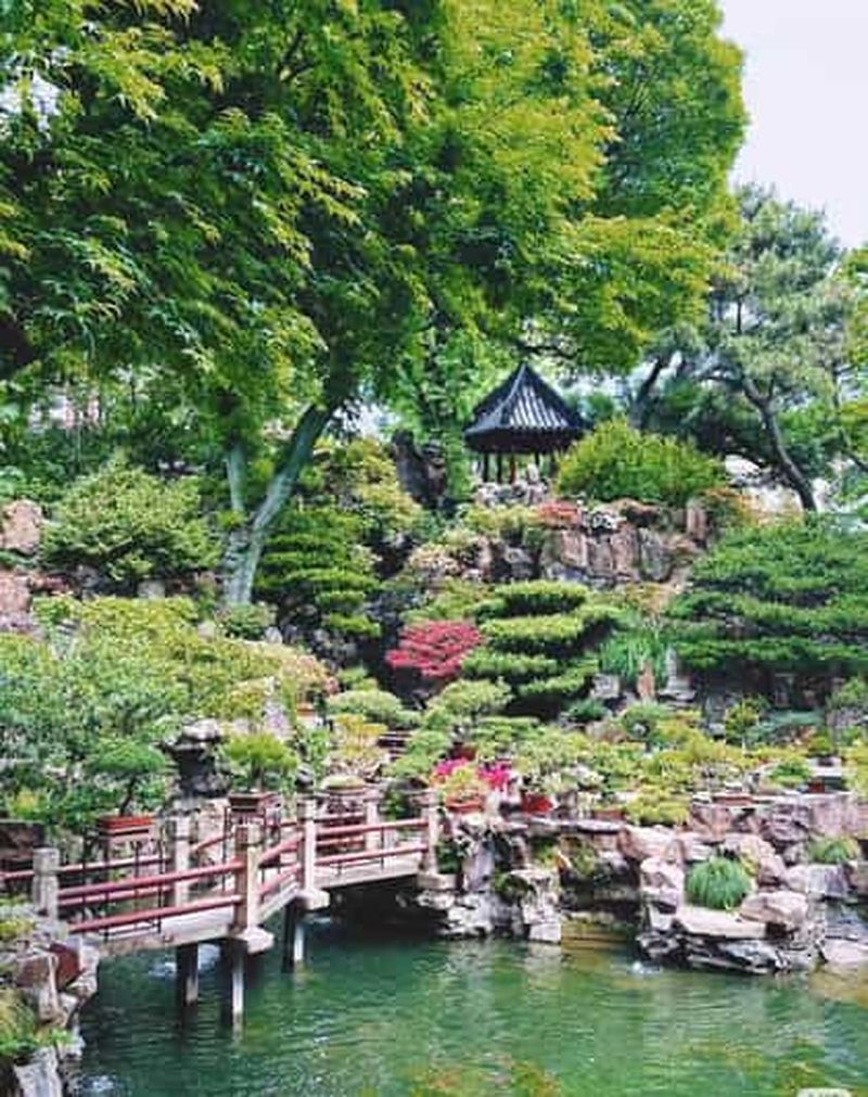 Billet Jardin Yuyuan de Shanghai : billet d'entrée officiel et accès prioritaire