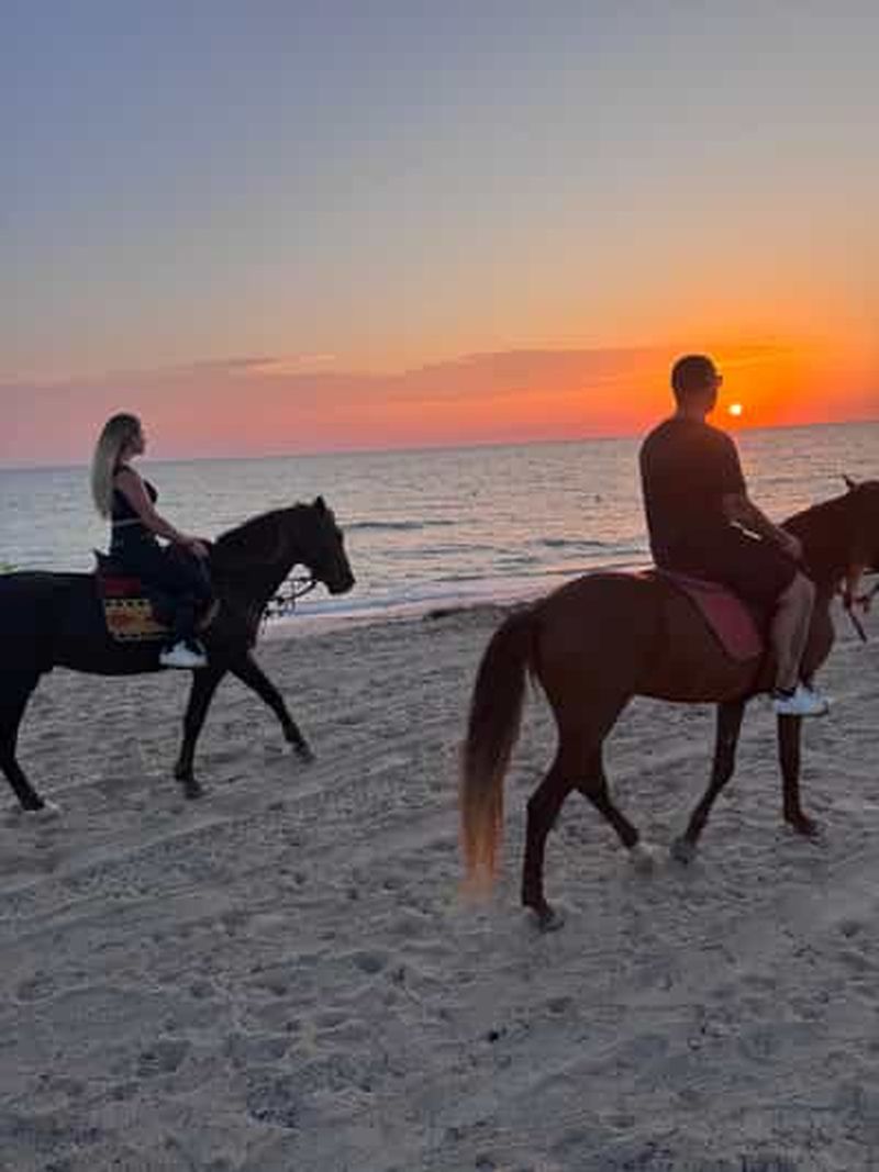 Billet Djerba : Profitez d'une promenade à cheval sur la plage : 1h