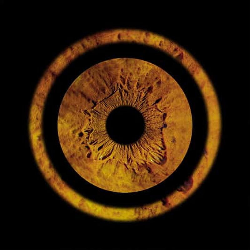 Billet Metz : Votre photographie professionnelle d'iris avec tirage encadré