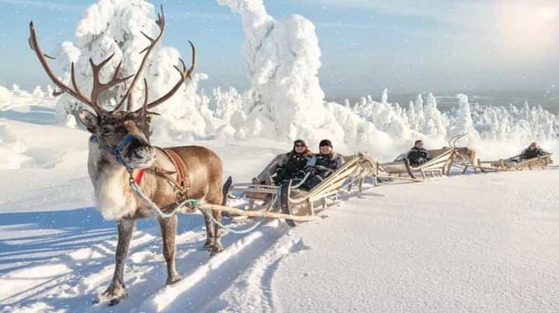 Billet Safari avec les rennes et pêche sur glace