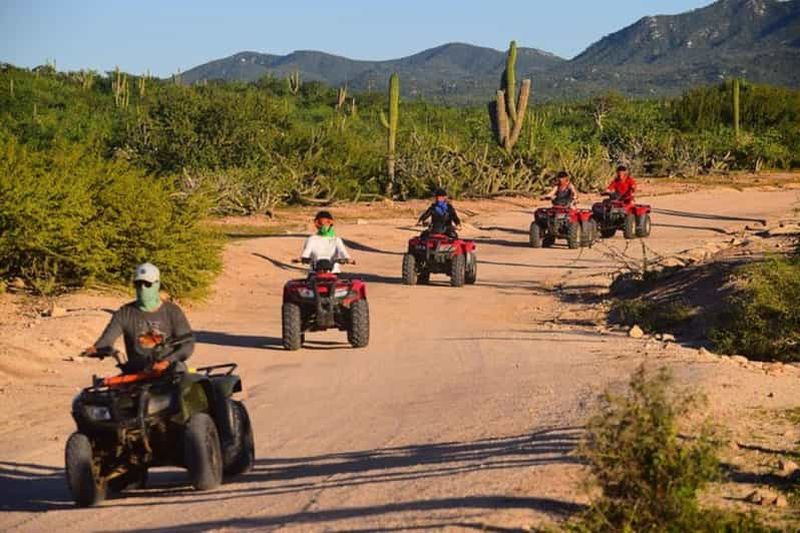 Billet Cabo San Lucas : Excursion en VTT sur la plage de Migrino et dans le désert
