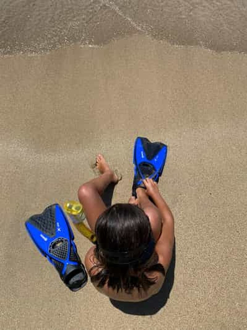 Billet Es Grau : expérience de plongée privée avec pique-nique et boissons