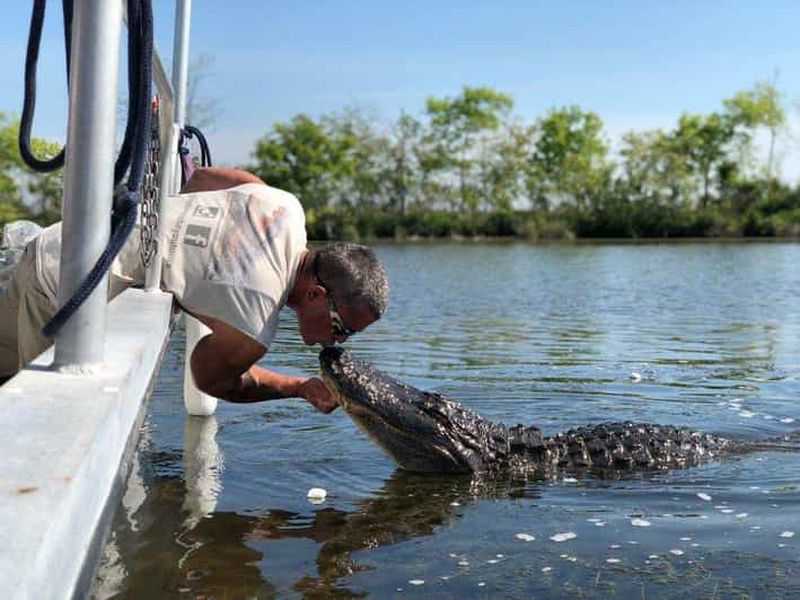 Billet Excursion en bateau dans les bayous de Louisiane près de la Nouvelle-Orléans