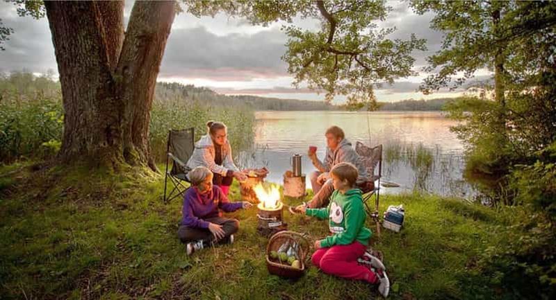 Billet Safari d'une demi-journée dans la réserve de Tala et le parc de Phezulu depuis Durban