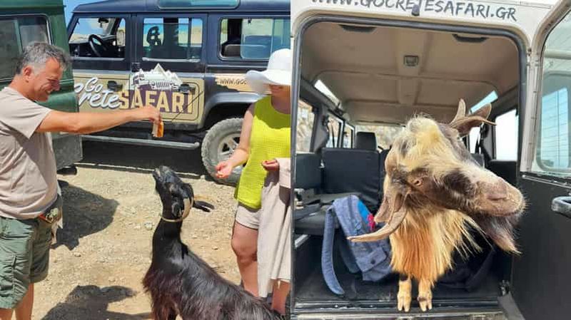 Billet Safari en Jeep : découvrez les secrets du sud de la Crète