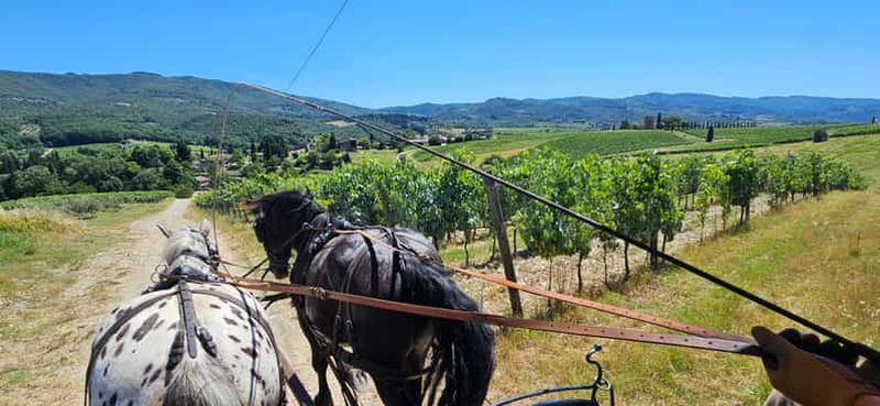 Billet Au départ de Florence : Promenade en calèche dans les collines du Chianti avec déjeuner