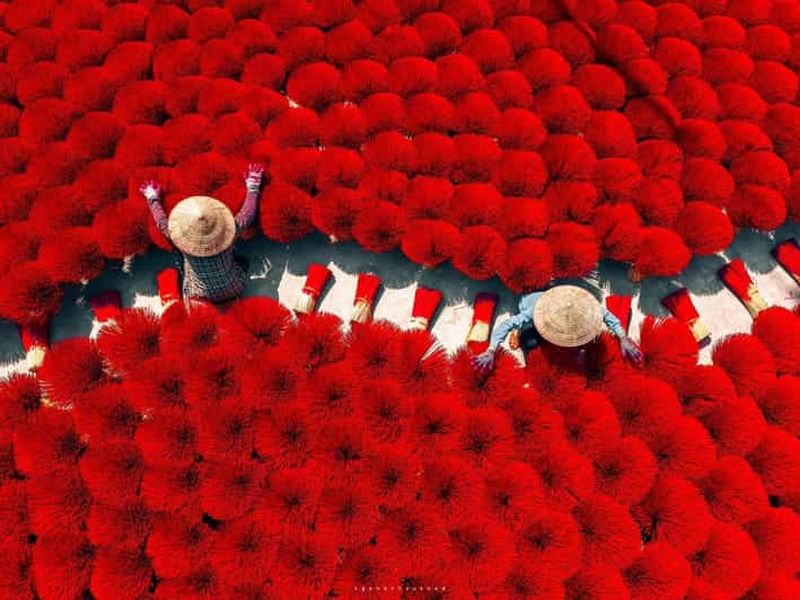 Billet Hanoï : Village des chapeaux et Village de l'encens ou Temple de la littérature