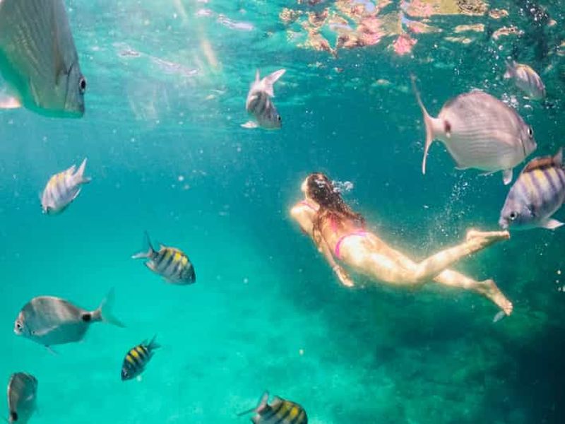 Billet Angra dos Reis : Une expérience unique au paradis à bord du bateau pirate