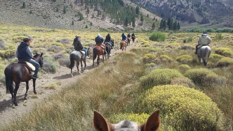 Billet Bariloche : Randonnée à cheval guidée dans la steppe patagonienne