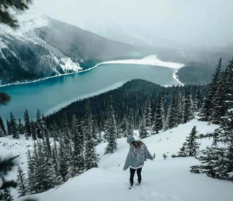 Billet Banff : visite du lac Louise, du canyon Marble, du lac Bow et du lac Peyto