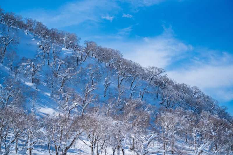 Billet Randonnée en raquettes pour débutants au col d'Orofure