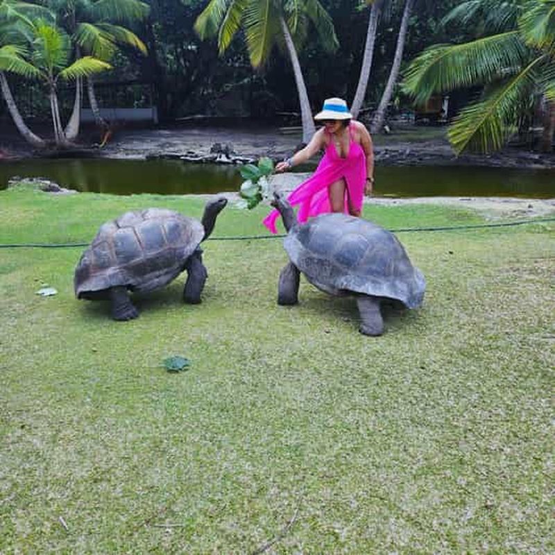 Billet Aventure sur les îles de la Curieuse et de Saint-Pierre avec barbecue créole