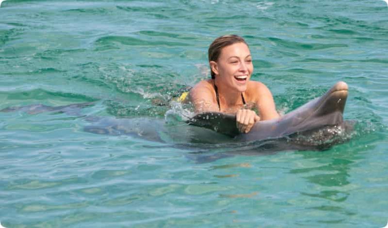 Billet Punta Cana : L'expérience des dauphins