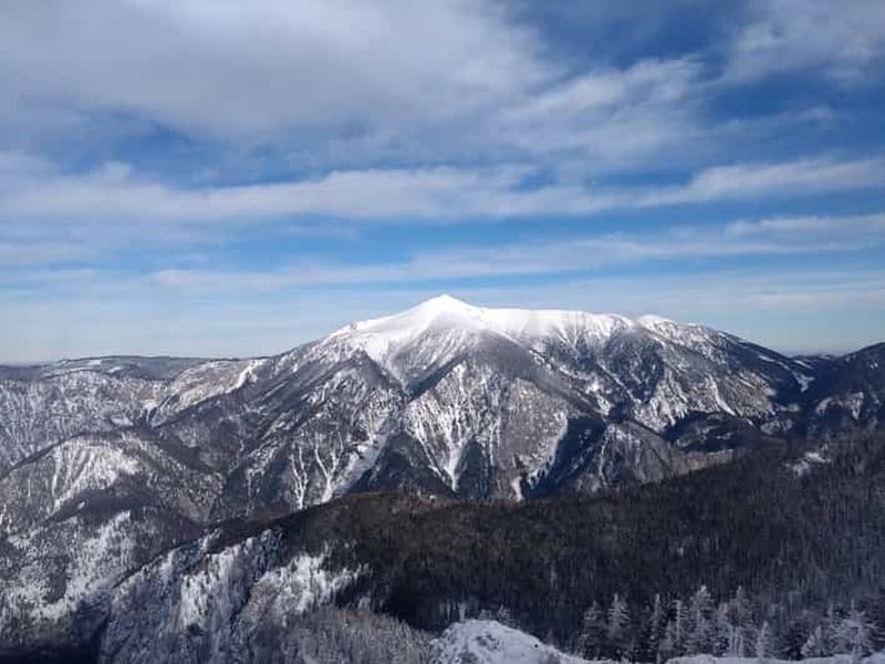 Billet Vienne : expérience détente en raquettes avec guide et transfert