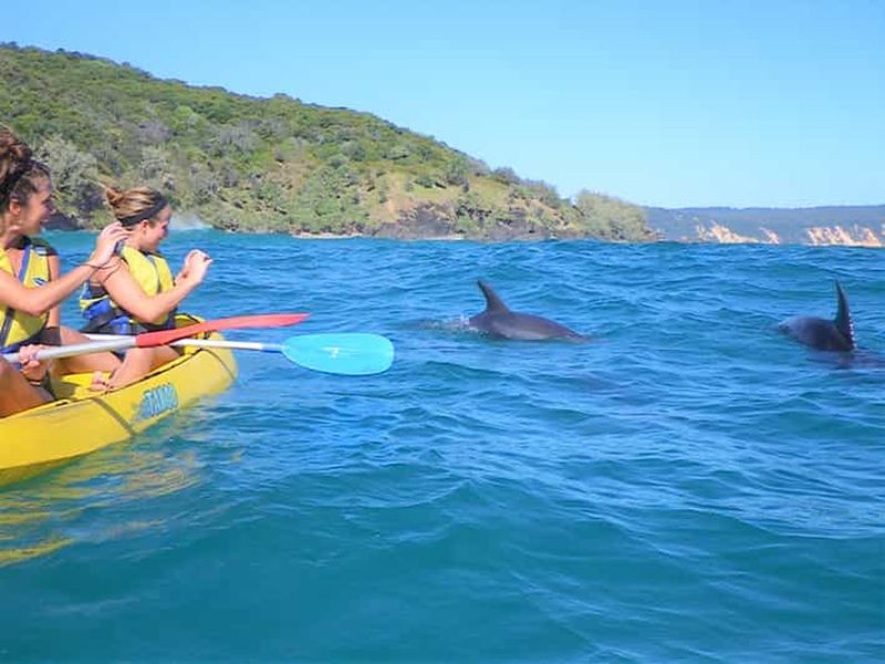 Billet Rainbow Beach : Kayak avec les dauphins et excursion en 4x4 sur la plage