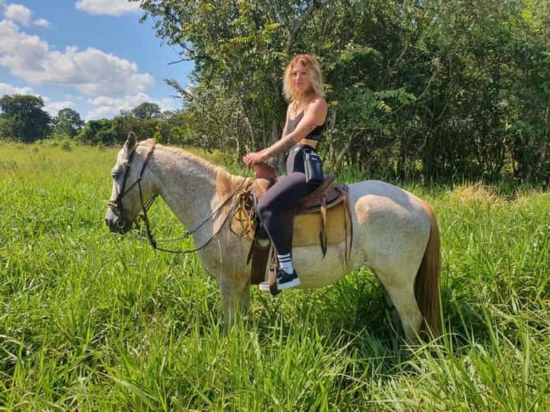 Billet Holbox : Randonnée à cheval privée