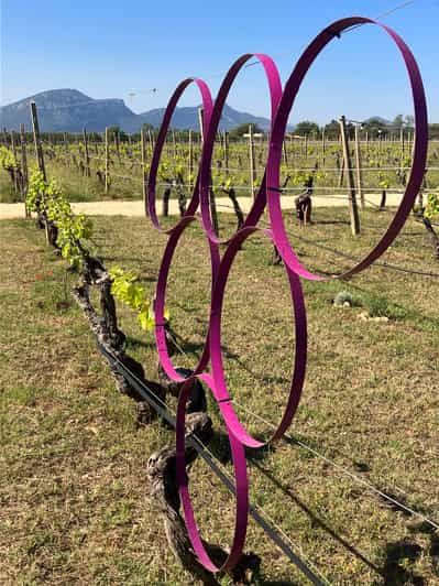 Billet Visite du vignoble et dégustation de vins