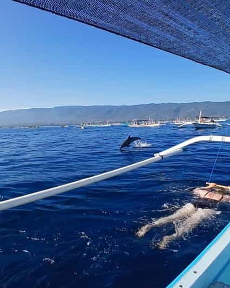Billet Lovina/BALI : SPÉCIAL Observation des dauphins, baignade, plongée en apnée