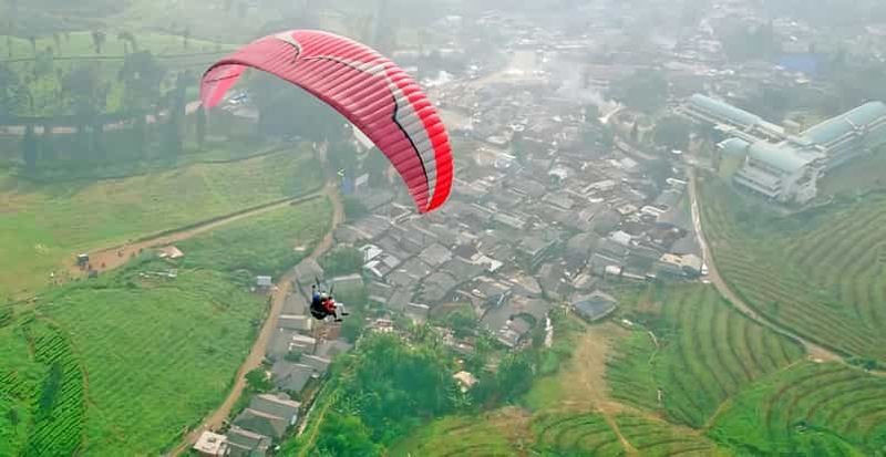 Billet Jakarta : Parapente au sommet de la montagne et plantation de thé