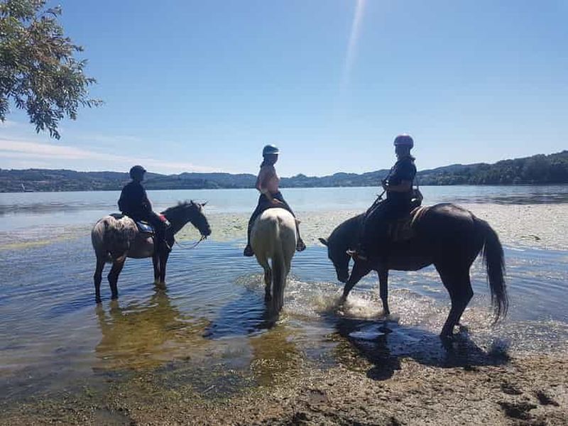 Billet Turin : Promenade à cheval sur le lac de Viverone