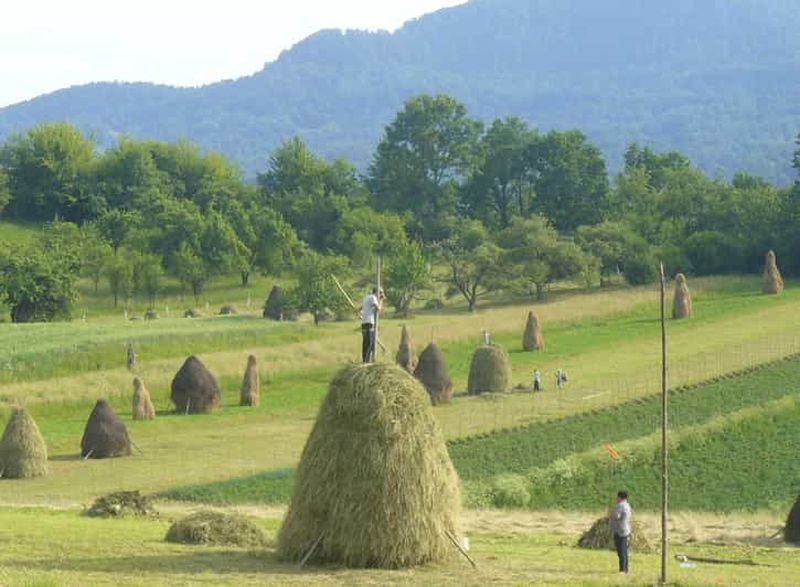 Billet Depuis Cluj-Napoca : Circuit de 3 jours à Maramureș avec hébergement