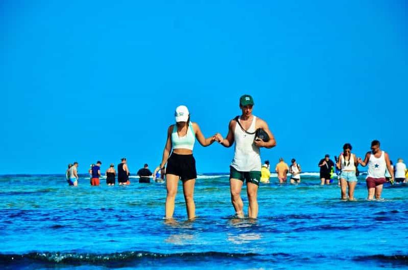 Billet Depuis l'île de Sal : Œil bleu, lac salé, requins citron, Palmeira