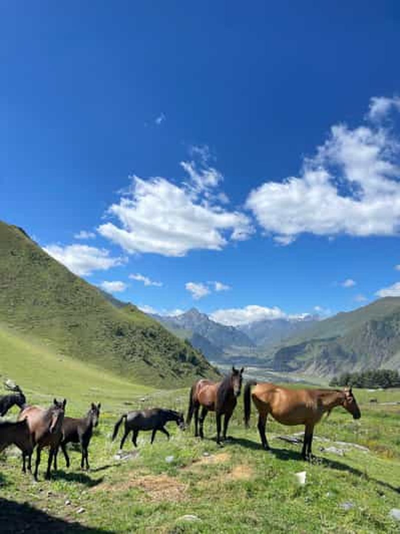 Billet Tbilissi : sculptures géantes, légendes et équitation