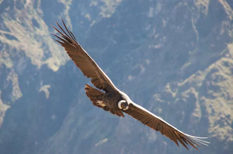 Billet Samaipata : randonnée guidée sur le sentier des condors et à la cascade secrète