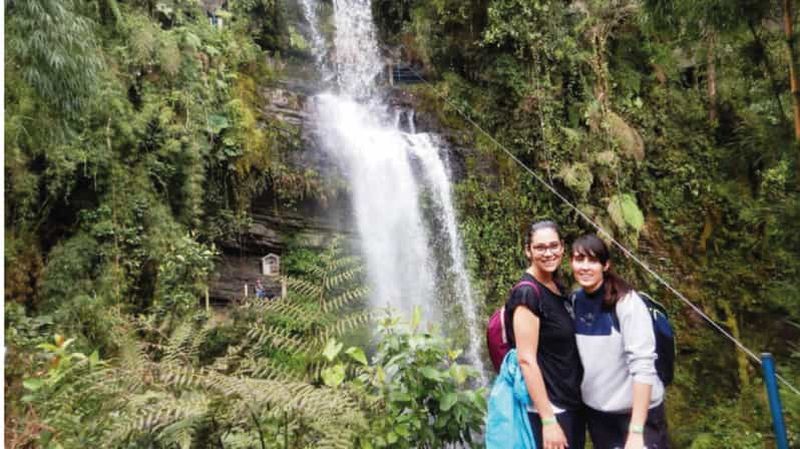 Billet Bogotá : yoga à la cascade La Chorrera et bain de forêt