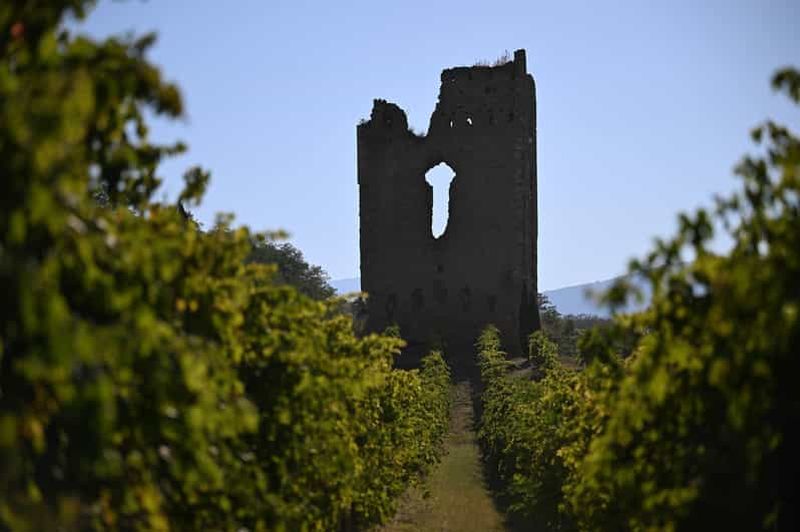 Billet Torre Raone : la tradition des vignobles