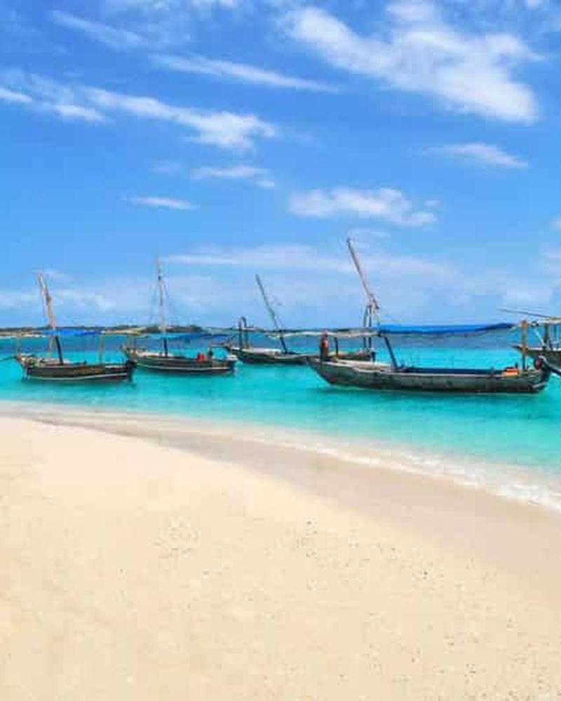 Billet Safari bleu Zanzibar en boutre à voile