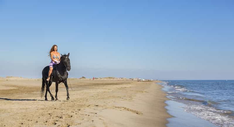 Billet Fuerteventura : promenade à cheval privée sur la plage et pique-nique romantique