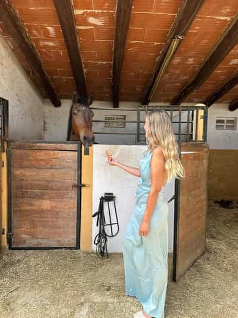 Billet Bali : promenade privée à cheval sur la plage de Kudungu et dans les rizières