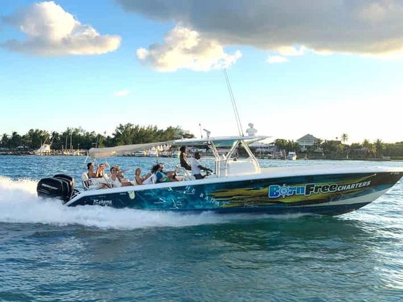 Billet Nassau : nage avec les cochons, snorkeling et déjeuner en bateau à moteur