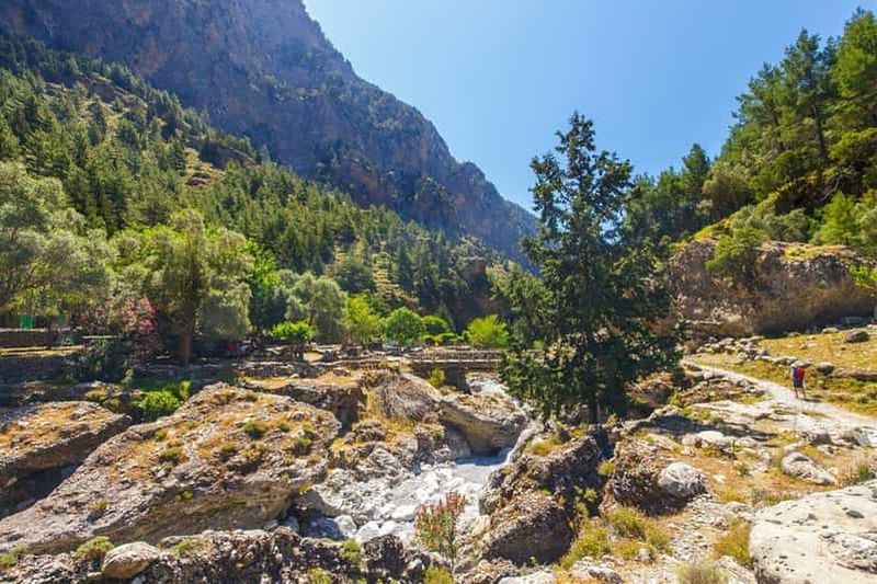 Billet Depuis Réthymnon : Gorges de Samaria avec un guide de randonnée professionnel
