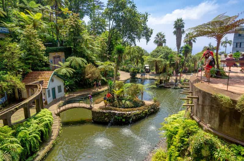 Billet Funchal : Visite des jardins tropicaux du Monte Palace en tuk tuk